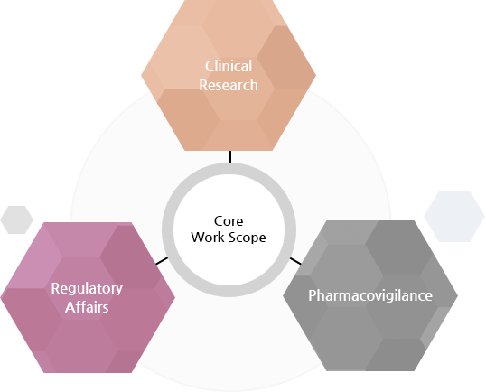 임상연구의 Core Work Scope는 Clinical Research와 Regulatory Affairs와 Pharmacovigilance를 통해 이루어집니다